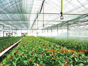 壓力補(bǔ)償式滴頭廠家優(yōu)選潤通節(jié)水灌溉,壓力補(bǔ)償式滴頭廠家優(yōu)選潤通節(jié)水灌溉生產(chǎn)廠家,壓力補(bǔ)償式滴頭廠家優(yōu)選潤通節(jié)水灌溉價(jià)格