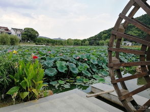 龍寺生態園游記